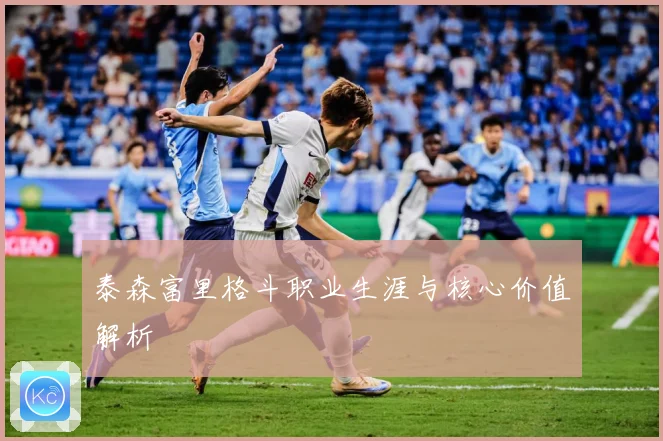 泰森富里格斗职业生涯与核心价值解析