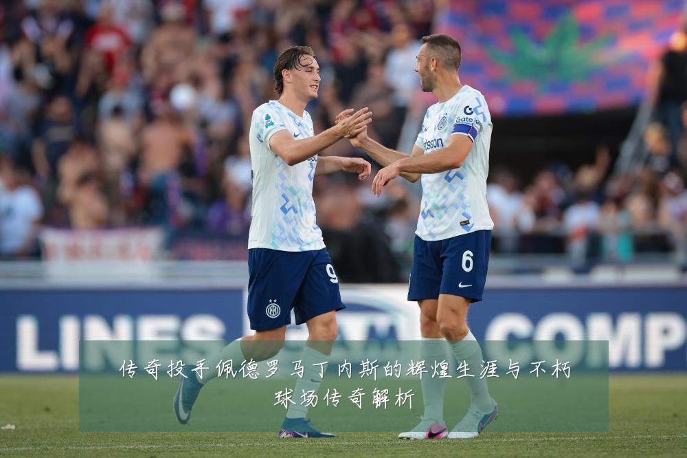 传奇投手佩德罗马丁内斯的辉煌生涯与不朽球场传奇解析