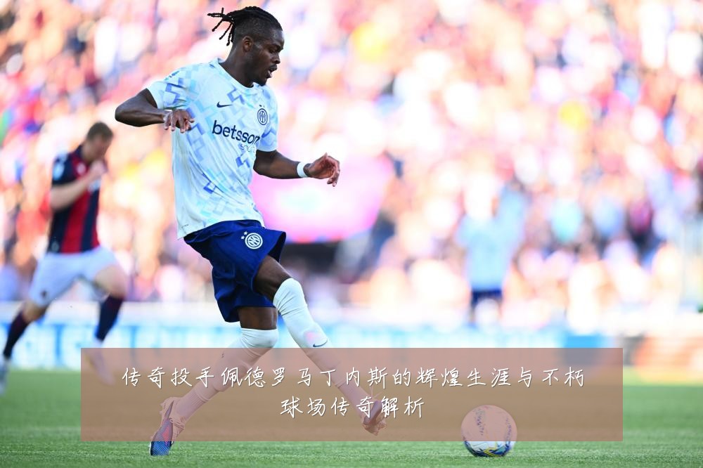 传奇投手佩德罗马丁内斯的辉煌生涯与不朽球场传奇解析