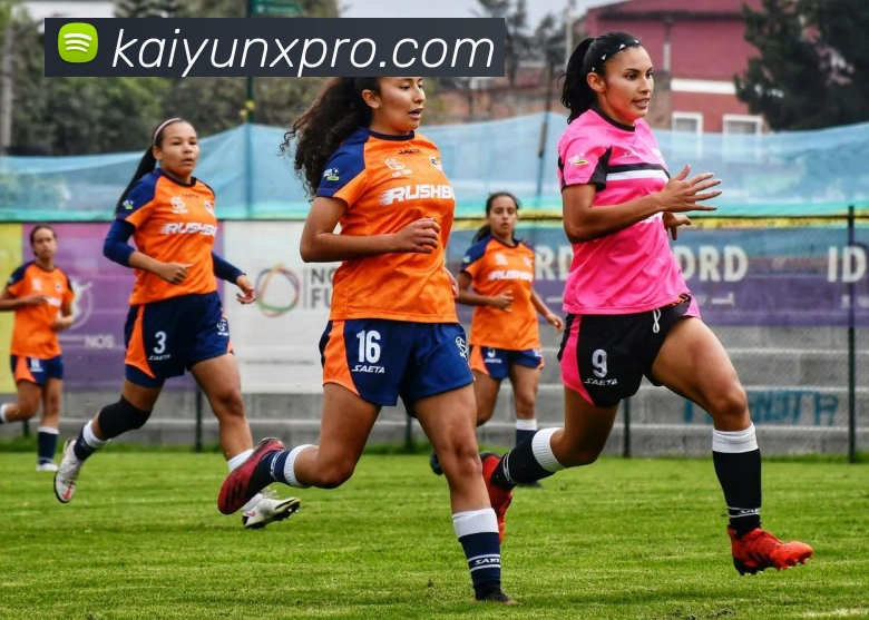 开云平台展示图